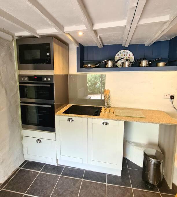 Mill Cottage Garden Annexe Ньютон Эбэт Экстерьер фото