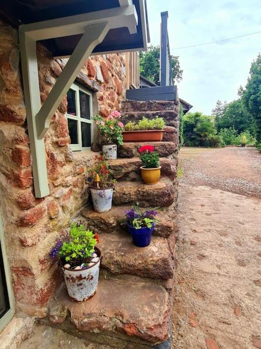 Mill Cottage Garden Annexe Ньютон Эбэт Экстерьер фото